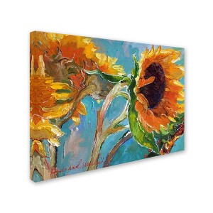 Trademark Fine Art-Richard Wallich 'Sun 11' Multi Panel Art Set Large - 1 of 3