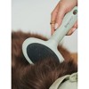 Dexypaws: Pet Slicker Brush - Large - Sage Green, Dog & Cat Grooming Tool - 2 of 4