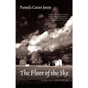 The Floor of the Sky - (Flyover Fiction) by  Pamela Carter Joern (Paperback) - 1 of 1