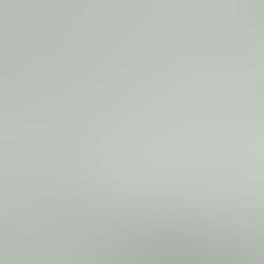 50# light green lightgreen