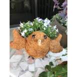 Ultimate Innovations Coco Animal Coir Novelty Planters