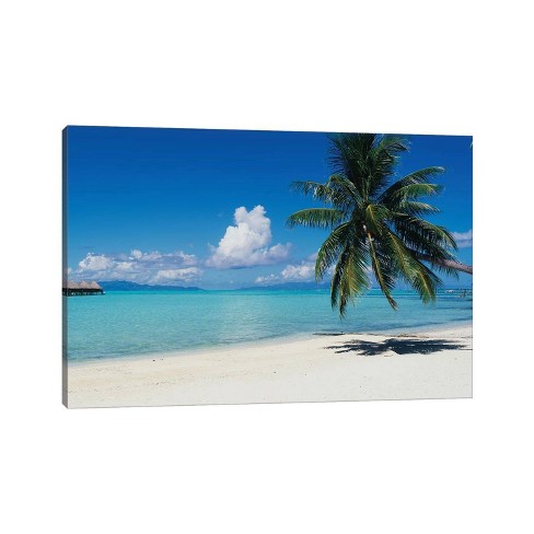 Palm Tree On The Beach Moana Beach Bora Bora Tahiti French Polynesia By ...