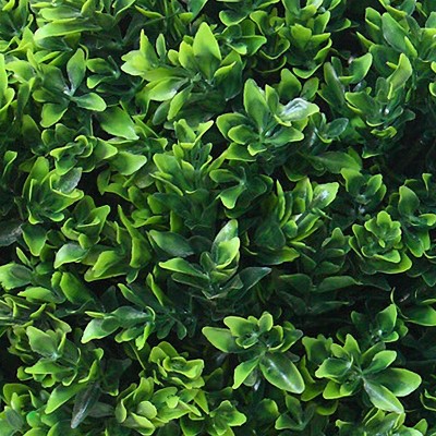 Set of Two 24-Inch UV-Resistant Hedyotis Topiary Trees