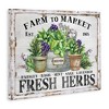 Stupell Industries Farmhouse Fresh Herbs Canvas Wall Art - 3 of 4