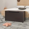 Wooden Toy Chest, Accent Storage Chest with Safety Hinges, Entryway Storage Bench, Lift-Top Storage Chest for Bedroom/Living Room - 2 of 4