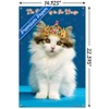 Trends International Keith Kimberlin - Kitten - Queen Unframed Wall Poster Prints - 3 of 4