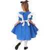 HalloweenCostumes.com Deluxe Toddler Alice Costume - 4 of 4
