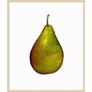 35" x 41" Pear by Sarah Thompsonengels Wood Framed Wall Art Print - Amanti Art: Giclee, Modern Decor - 1 of 4