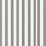 gray/white