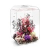 biOrb Sea Fan Aquarium Artificial Plants - image 3 of 3