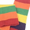 Rainbow Slouch Socks the Sock Panda (Women's Sizes, Adult Medium) - Heavyweight - 2 of 4