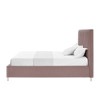 HomeRoots Blush Tufted Velvet Upholstered Queen Bed Frame - 4 of 4