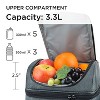 Dual Compartment Insulated Lunch Bag for Mens Womens, Large Leakproof Lunch Box Thermal Lunch Totes with Shoulder Strap - Tirrinia - image 3 of 4