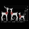 Karl Home  2D Lighted Deer Family Set of 3 Christmas Decoration - 4 of 4