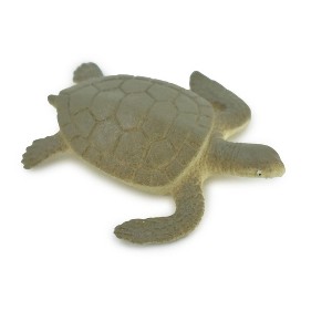 Collectible Wildlife Gifts | Sea Turtle, Hatchling, Plastic Design, Realistic, Reptile, Educational, Model,  Toy,  Gift,      2"       F0039 B123 - 1 of 4