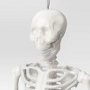 36" Poseable Skeleton Halloween Decorative Prop Iridescent - Hyde and EEK! Boutique™ - 3 of 3