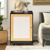 FURNIinspire Cat Litter Box Enclosure, Hidden Cat Washroom, Kitty End Table, Litter cabinet with sisal door, 22.4"*20"*31.5" - 4 of 4