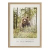 Kate and Laurel Blake Bathroom In The Woods Framed Printed Glass by The Creative Bunch Studio, 18x24, Natural - 2 of 4