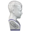 Design Toscano Porcelain Phrenology Head Statue - 3 of 4