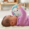 Fisher-Price Calming Vibes Hedgehog Soother - image 4 of 4