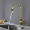 JUJABU Single Handle Stainless Steel Kitchen Sink Faucet with Pull Down Sprayers - Gold - 2 of 4