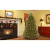 7.5' Prelit Hinged Dunhill Fir Artificial Christmas Tree Clear Lights - National Tree Company - 4 of 4