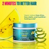 Mielle Organics Kalahari Melon & Aloe Vera Deep Hydration 2-Minute Deep Conditioner - 12 fl oz - 3 of 4