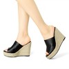 Allegra K Women's Open Toe Padded Insole Slip-on Platform Espadrille Sandals - 2 of 4