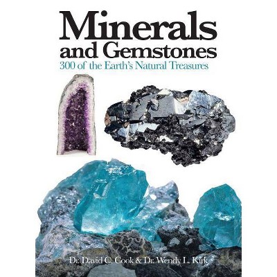 Minerals and Gemstones - (Mini Encyclopedia) by  David C Cook & Wendy L Kirk (Paperback)