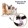 American Pet Supplies Yettie Snowman Plush Dog Chew Toy Gift Set – Plush Dog Toy with Durable Texture for Engaging Play and Cuddles - 4 of 4