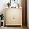Hommoo Large Shoe Cabinet with Doors - 4 of 4