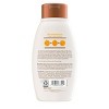 Aveeno Apple Cider Vinegar Blend Sulfate Free Shampoo for Balance and High Shine - 12 fl oz - 2 of 4