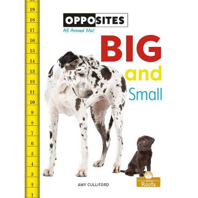 Big and Small - (Opposites All Around Me!) by  Amy Culliford (Paperback)