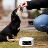 Amici Pet Ceramic Eat + Drink Bowl Large, Pet Food and Water Feeder, Anti-Slip Ceramic Treat Bowl, White Bowl, 24-Ounce - 4 of 4