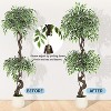 Nasitip Artificial Ficus Tree,Faux Floor Tree White Imitation Ceramic Planter, Fake Ficus Tree with Pebbles & Green Fake Moss - 4 of 4