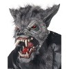 California Costumes Full Moon Fury Men's Costume - 3 of 3