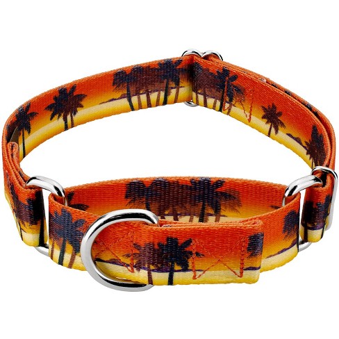 Country Brook Petz Caribbean Sunset Martingale Dog Collar - image 1 of 4