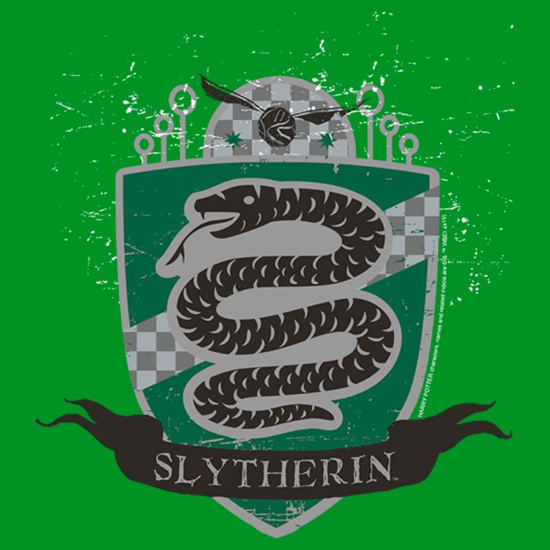 Boy's Harry Potter Slytherin House Shield T-Shirt, 2 of 5