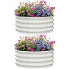 Acekool Oval Garden Planter - 2 of 4