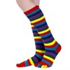Striped Pattern Knee High Socks (Toe Socks) from the Sock Panda (Women's Sizes, Adult Medium) - 3 of 3
