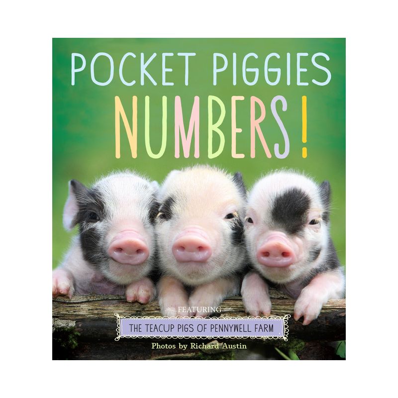 Pocket Piggies Numbers! - (Board Book), 1 of 2