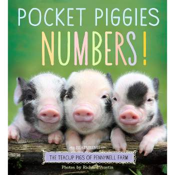 Pocket Piggies Numbers! - (Board Book)