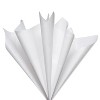 50 Sheet Tissue Paper White - image 4 of 4