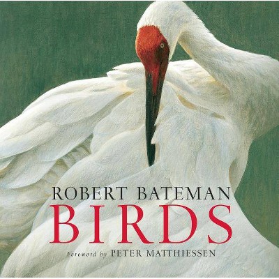 Birds - by  Kathryn Dean (Paperback)