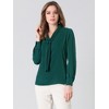 INSPIRE CHIC Women's Long Sleeve Pleated Tie Neck Office Blouses - 4 of 4
