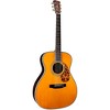 Blueridge BR-183 Historic Series 000 Acoustic Guitar Aging Toner - 3 of 4