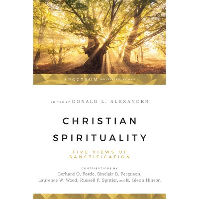 Christian Spirituality - (Spectrum Multiview Book) by  Donald Alexander (Paperback)
