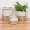 Colonial Mills Jaydon Basket, 10"x10"x12", Sand - 3 of 3