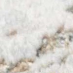 beige, dark brown, medium gray, medium brown, gray