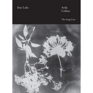 Star Lake - by  Arda Collins (Paperback) - 1 of 1